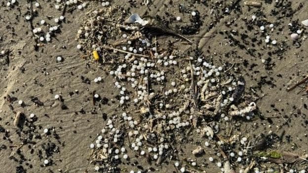 Close-up of a dark sandy beach with twigs. On the sand there are dozens of white pellets littered across.