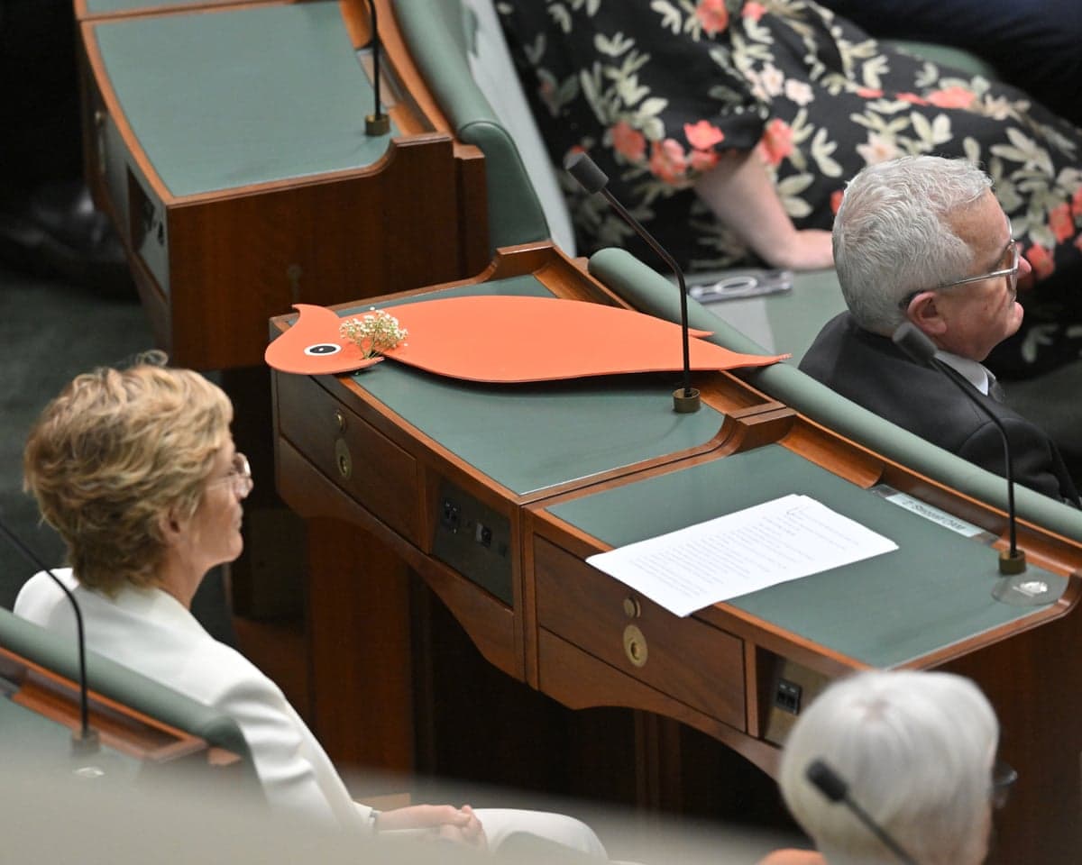 A cockatoo is placed as tribute to Independent member for Indi Helen Haines in the House of Representatives