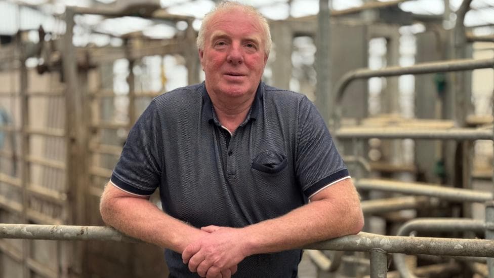 George McMaster dairy farmer. George has grey hair and is wearing a blue top.