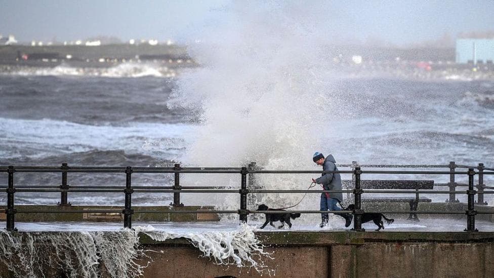 A man walks along a sea wall with two small black dogs while trying to avoid waves in New Brighton Promenade.