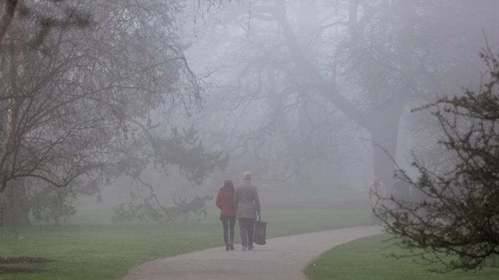 A couple walking in a park with trees around them in foggy conditions.