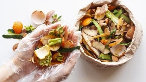A person holds some vegetable scraps in their gloved hands