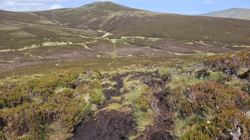 The peatland is mostly covered in tufts of tough grass and heather with a few patches of wet land exposed to the elements. The landscape is sweeping with large hills in the distance and a blue sky above them.